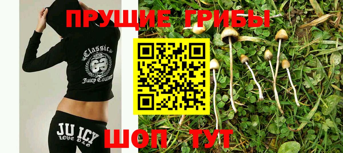 Псилоцибиновые грибы GOLDEN TEACHER  что такое наркотик  Вятские Поляны  Вход с VPN 
