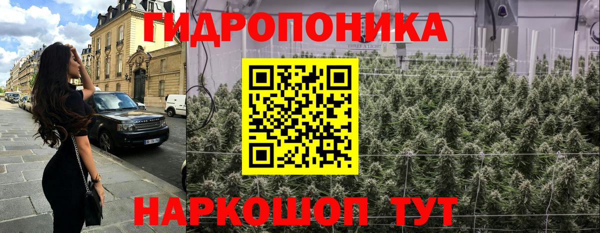 Бошки Шишки семена  Конопля планчик  Бошки марихуана LSD WEED  Вятские Поляны  Вход с VPN 